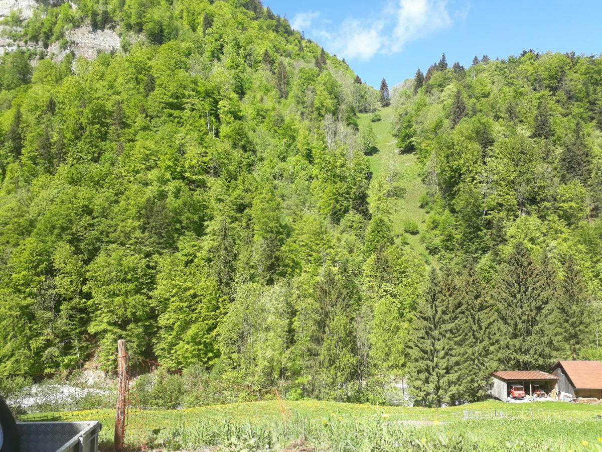 Apartamento Bauernhof Farnach Andelsbuch Exterior foto